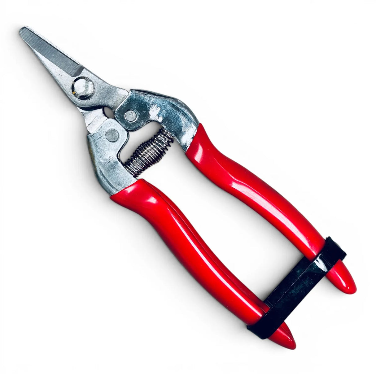 Forbici per uva lame corte INOX
