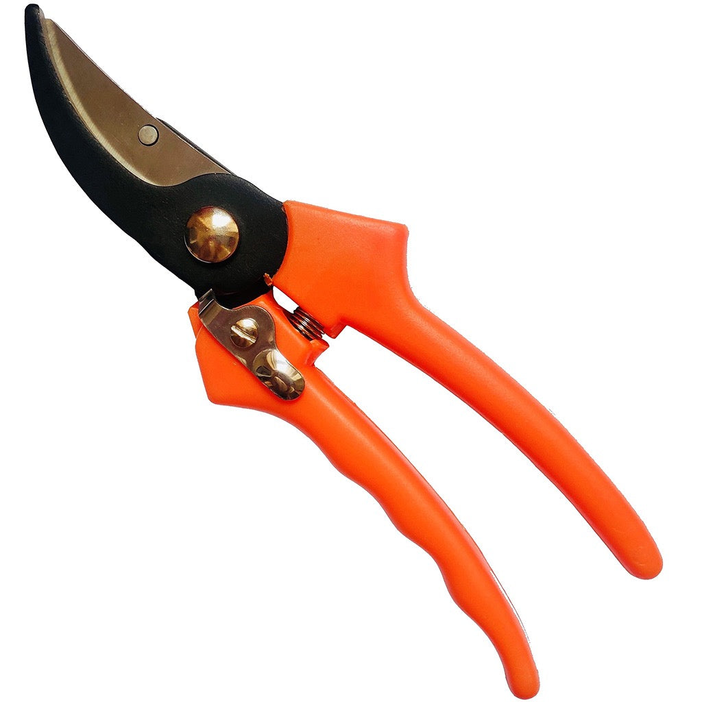 Professional pruning shears 22cm