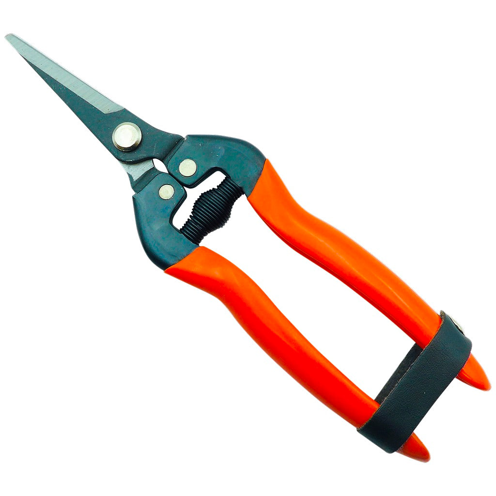 Professional grape shears