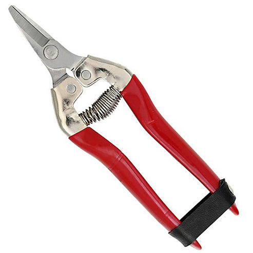 Grape shears with short stainless steel blades