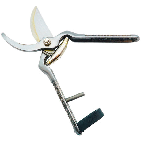 Polished forged pruning shears